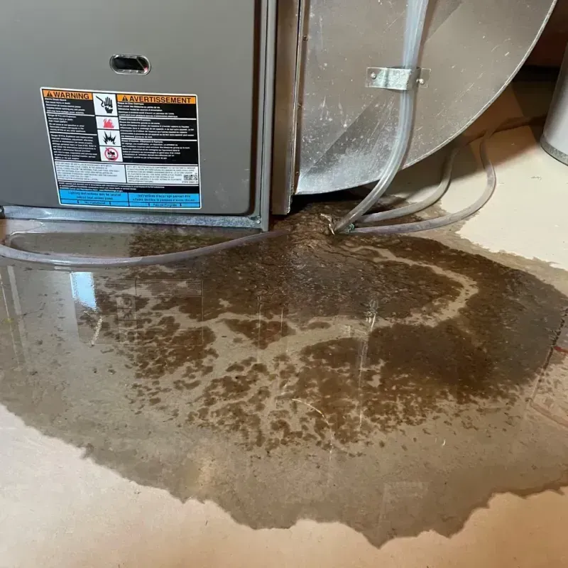 Appliance Leak Cleanup in Wilder, ID